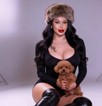 Valentina Saint-Claire(Just Arrived) - Transsexual escort in Bangkok