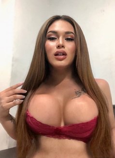 Fantasy Fulfiller (Just Landed) - Transsexual escort in Bangkok Photo 18 of 18