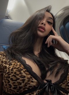 Fantasyani - Acompañantes transexual in Doha Photo 3 of 4