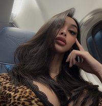 Fantasyani - Transsexual escort in Doha