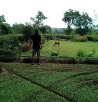 Faraaz Adnan - Acompañantes masculino in Dhaka