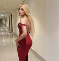 Farah, the biggest Arab Dick - Transsexual escort in Dubai