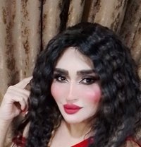 Farah Queen - Transsexual escort in Erbil