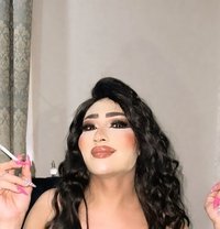 Farah Queen - Transsexual escort in Erbil Photo 6 of 14