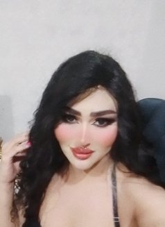 Farah Queen - Transsexual escort in Erbil Photo 7 of 14