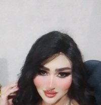 Farah Queen - Acompañantes transexual in Erbil