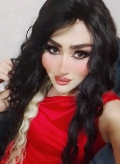 Farah Queen - Transsexual escort in Erbil Photo 10 of 14
