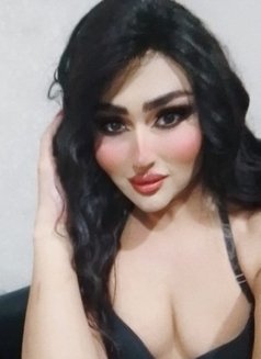Farah Queen - Acompañantes transexual in Erbil Photo 13 of 14