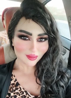 Farah Queen - Transsexual escort in Erbil Photo 12 of 14