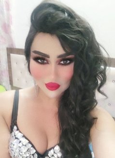 Farah Queen - Transsexual escort in Erbil Photo 13 of 14