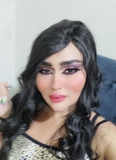 Farah Queen - Transsexual escort in Erbil Photo 14 of 14