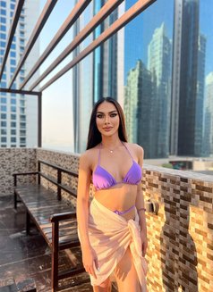 Farah69 - Acompañantes transexual in Al Manama Photo 5 of 10