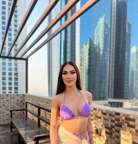 FARO hayati - Transsexual escort in Al Manama