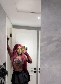 Farawla Baby Big Dick - Acompañantes transexual in Jeddah Photo 17 of 17