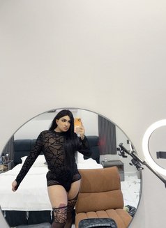 Farawla Baby Big Dick - Transsexual escort in Riyadh Photo 10 of 18