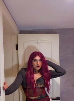 Farawla Queen Big Dick 🇨🇦 - Transsexual escort in Jeddah Photo 8 of 15