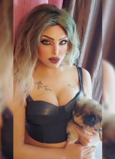 Farida - Transsexual escort in Cairo Photo 12 of 12