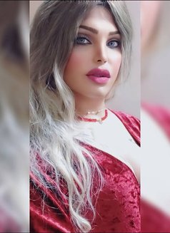 Farida - Acompañantes transexual in Cairo Photo 14 of 14