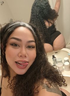 Farida fat bitch leave soon - escort in Yokosuka Photo 27 of 28