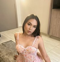 Farida 🇹🇭New in Jeddah Big strong dig - Acompañantes transexual in Jeddah Photo 1 of 10