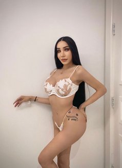 Farida Shemale Big Cock Thailand - Transsexual escort in Riyadh Photo 13 of 13