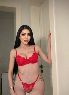 last day In Riyadh Farida Shemale - Transsexual escort in Riyadh Photo 15 of 16