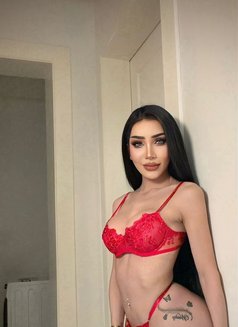 last day In Riyadh Farida Shemale - Transsexual escort in Riyadh Photo 16 of 16