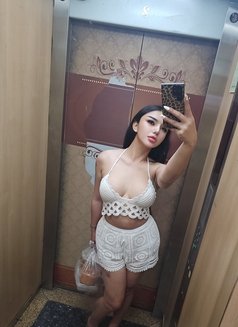 Farida - Acompañantes transexual in Bangkok Photo 1 of 13