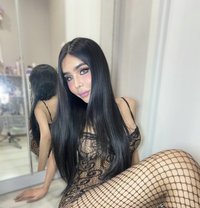 Farin 21 years Ladyboy 69 Sexy 🇹🇭 - Transsexual escort in Riyadh Photo 2 of 7