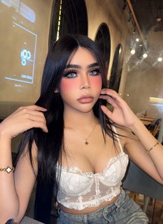 π¦ Farin Ladyboy 69 Sexy πΉπ - Transsexual escort in Jeddah Photo 17 of 17