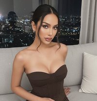 Faro 69cp - Transsexual escort in Al Manama