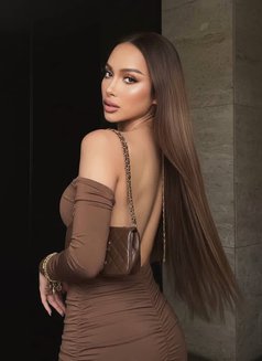 Faro 69cp - Transsexual escort in Al Manama Photo 14 of 17