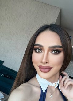 Faro 69cp - Transsexual escort in Al Manama Photo 16 of 17