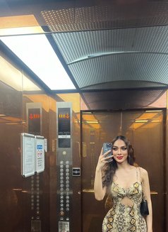 FARO hayati - Transsexual escort in Al Manama Photo 8 of 12
