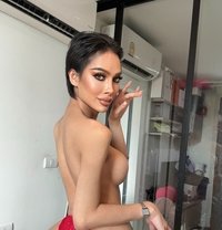 TOP HOT HAIFA - Transsexual escort in Bangkok