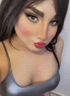Farous - Male escort in Dammam Photo 1 of 5