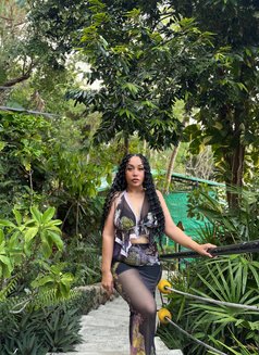 FAT A$$ FAT PU$$Y - escort in Phuket Photo 6 of 12