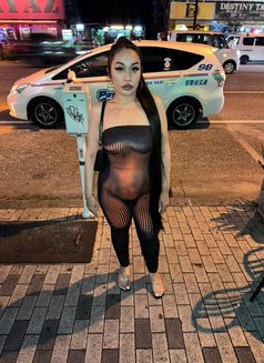 FAT A$$ FAT PU$$Y - escort in Phuket Photo 9 of 12