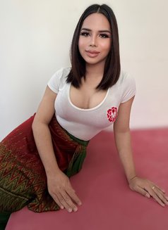 Fathin young ladyboy and New - Transsexual escort in Abu Dhabi Photo 7 of 8