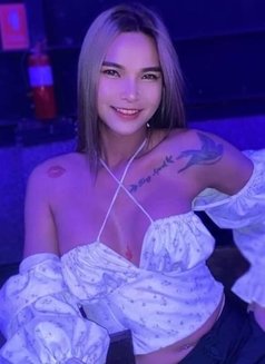 Fatin New ladyboy thailand Good service - Acompañantes transexual in Muscat Photo 12 of 12
