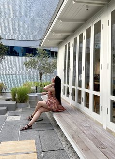 Fatinye chubby - Transsexual escort in Al Manama Photo 25 of 26