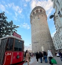 Fatinye chubby - Transsexual escort in Amman Photo 16 of 28