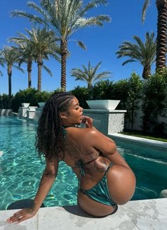 Fatuma, Wet Dripping Pussy - escort in Ahmedabad Photo 3 of 12