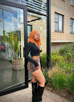 Favour Just Arrived in Pattaya - escort in Pattaya Photo 5 of 5
