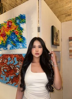 เฟย์ - Transsexual escort in Pattaya Photo 10 of 10