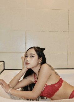 Faye GFE PARTY - escort in Taipei Photo 4 of 24