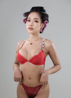 Faye GFE PARTY - escort in Taipei Photo 16 of 24