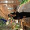 Febby Aulia - puta in Bali Photo 4 of 5