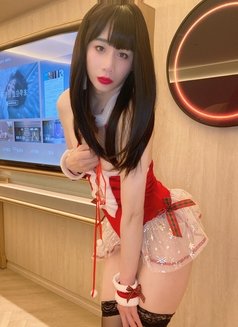 now in tw？ - Transsexual escort in Taipei Photo 14 of 29