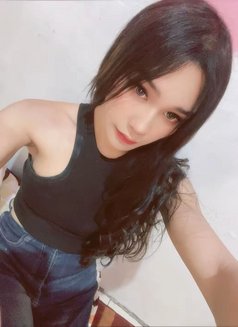 Feby - Transsexual escort agency in Jakarta Photo 1 of 6
